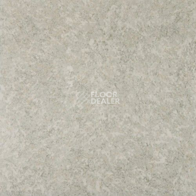 Линолеум Grabo Terrana 16/S 4261 256 фото 1 | FLOORDEALER